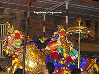 Srirangam Renganathar Kudhiri (Horse) Vaganam Photos
